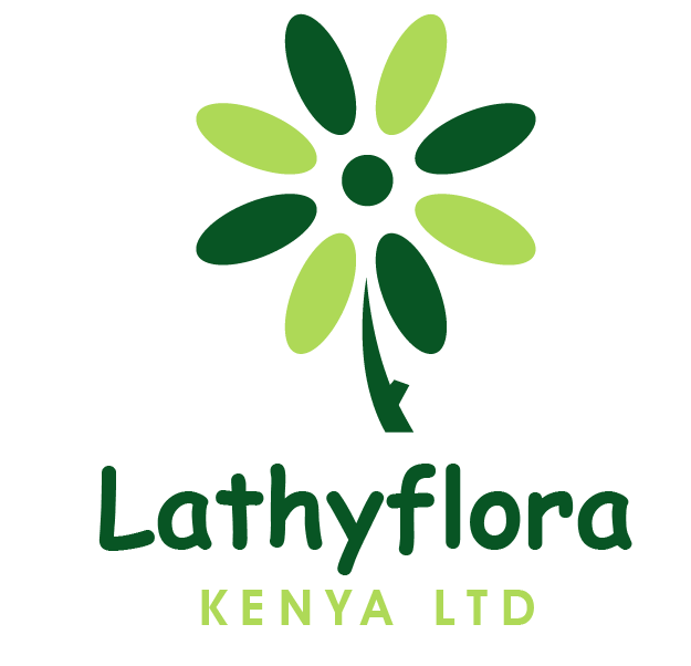 Client Logo